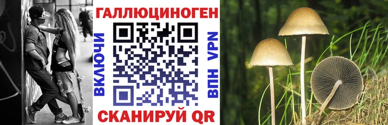 Купить  Миллерово  Галлюциногенные грибы Psilocybine cubensis 